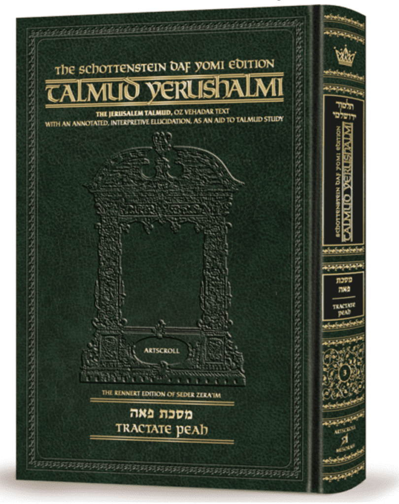 Schottenstein Talmud Yerushalmi - English Edition Daf Yomi Size ...